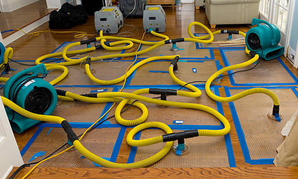 Professional Crawl Space Water Removal technician working in Charlotte, MI